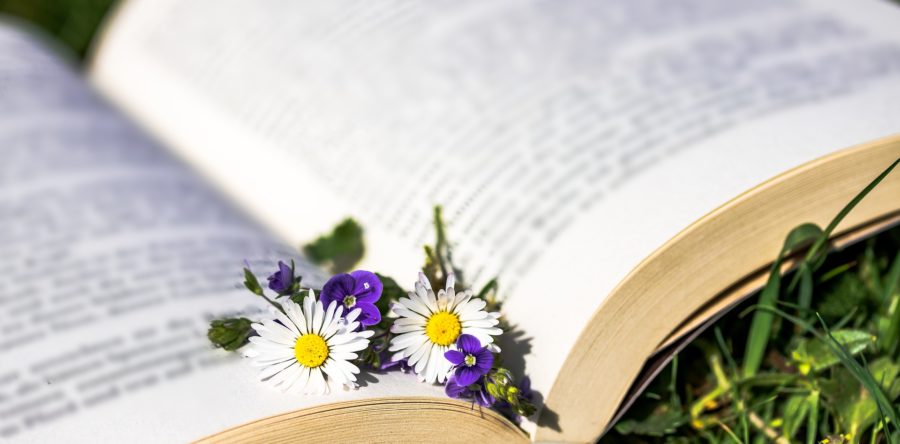 NATUR-MENSCH-EINKLANG Vortrag